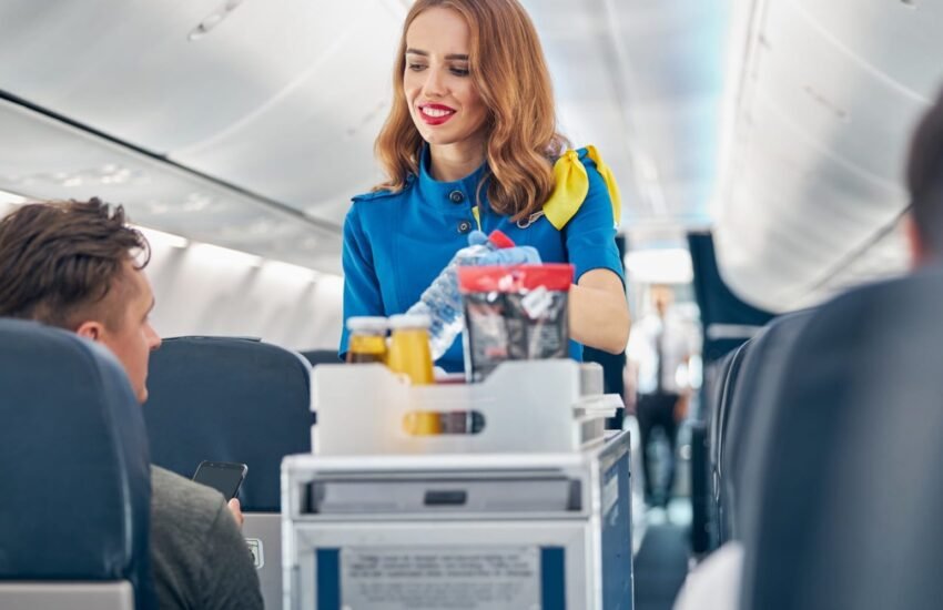 Flight Attendant Job