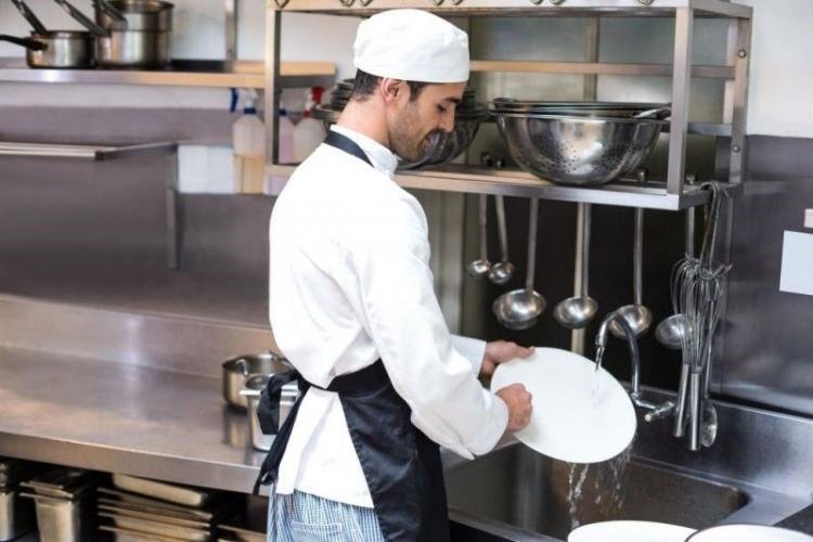 Dishwasher & Kitchen Assistant