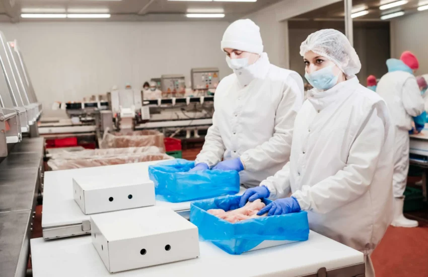 Meat Packing Labourer Job