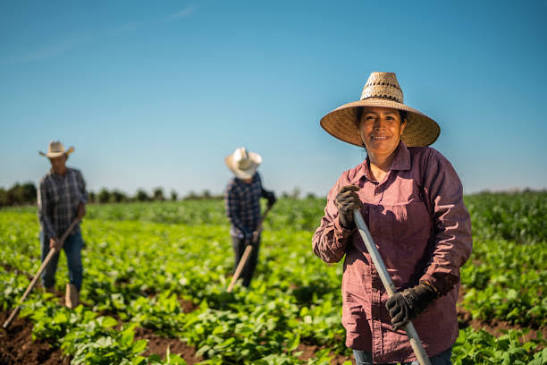 Farm Worker