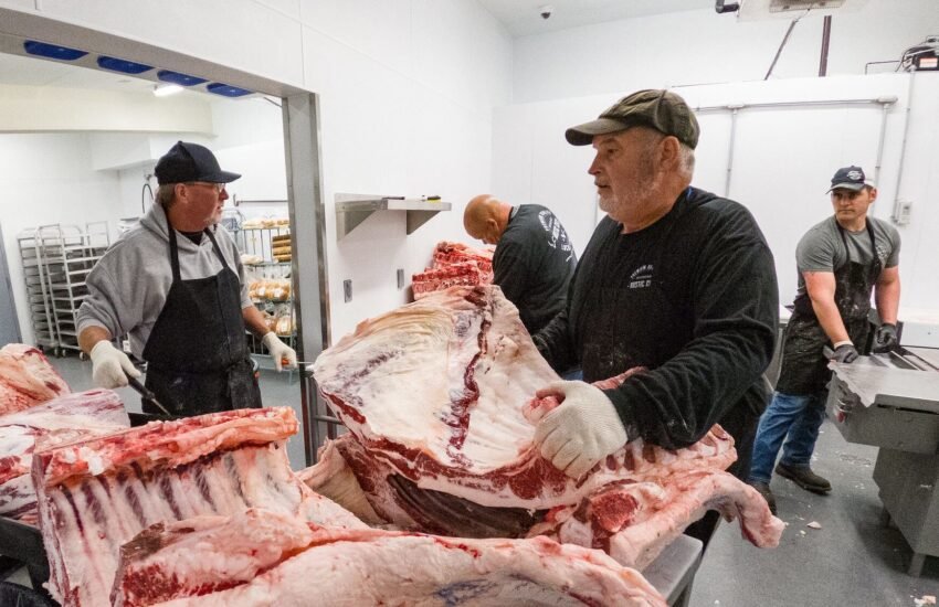 Meat Process Worker Job in Harvey WA