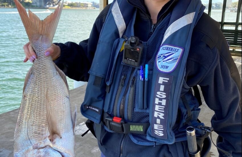 Fishery Officer Job
