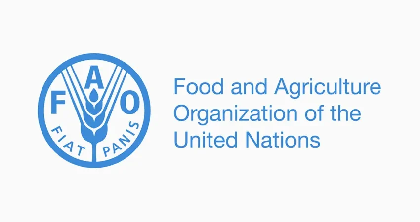 FAO United Nations
