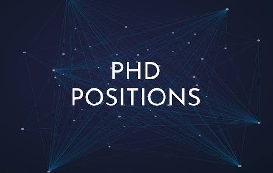 PhD Position