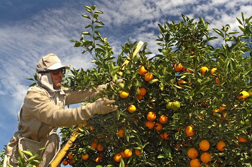 Farm Operations Job
