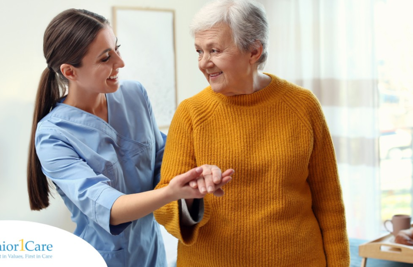 Caregiver and Support Person Job