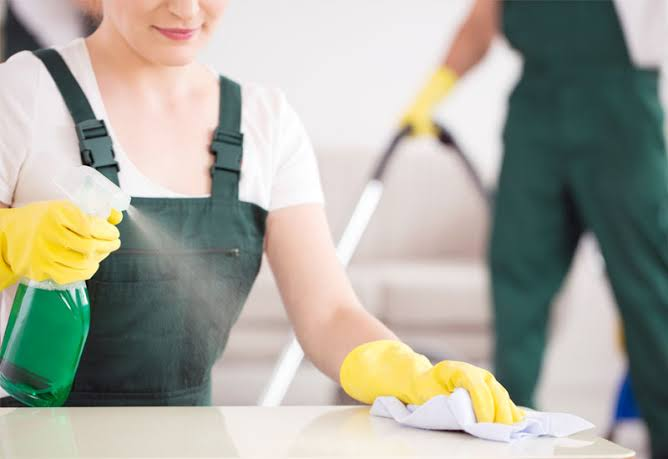 Cleaner