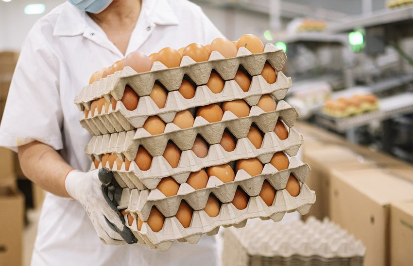 Egg Packer