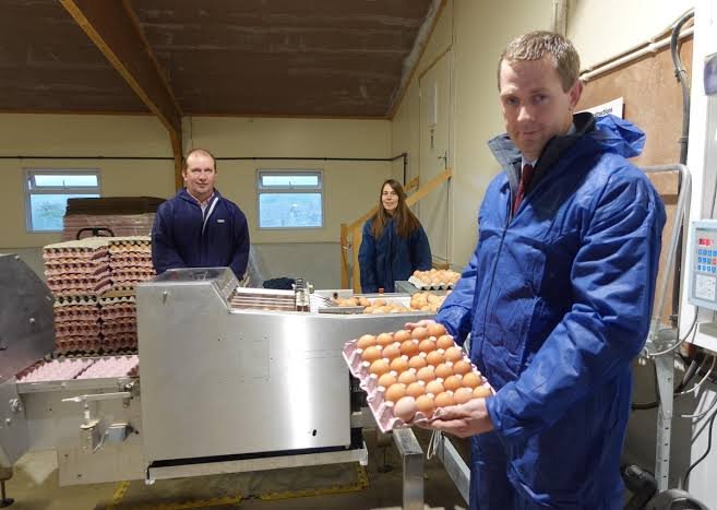 Egg Packer
