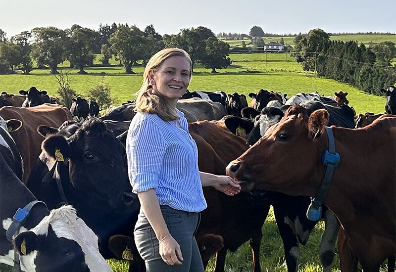 Experienced Dairy Farm Operative