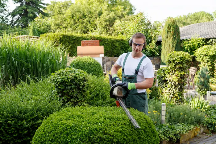 Gardener Job