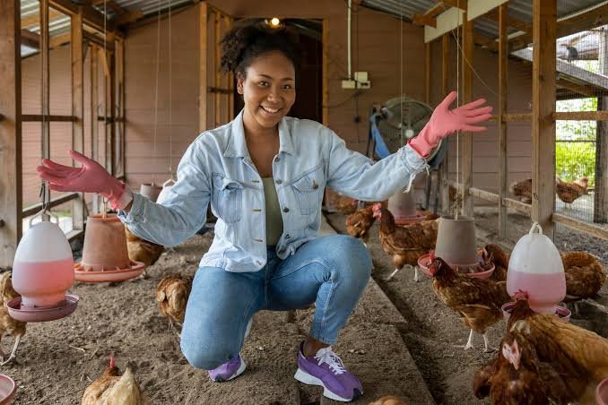 Poultry Farm Labourer